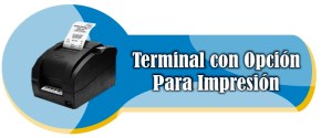 Opción de Impresión